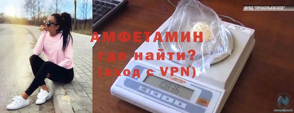 дживик Абаза