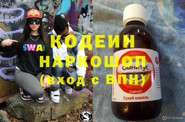 дживик Абаза