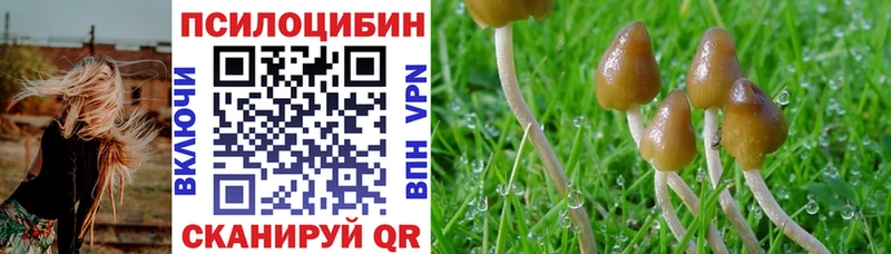 Псилоцибиновые грибы Psilocybe  MEGA сайт  Юхнов 
